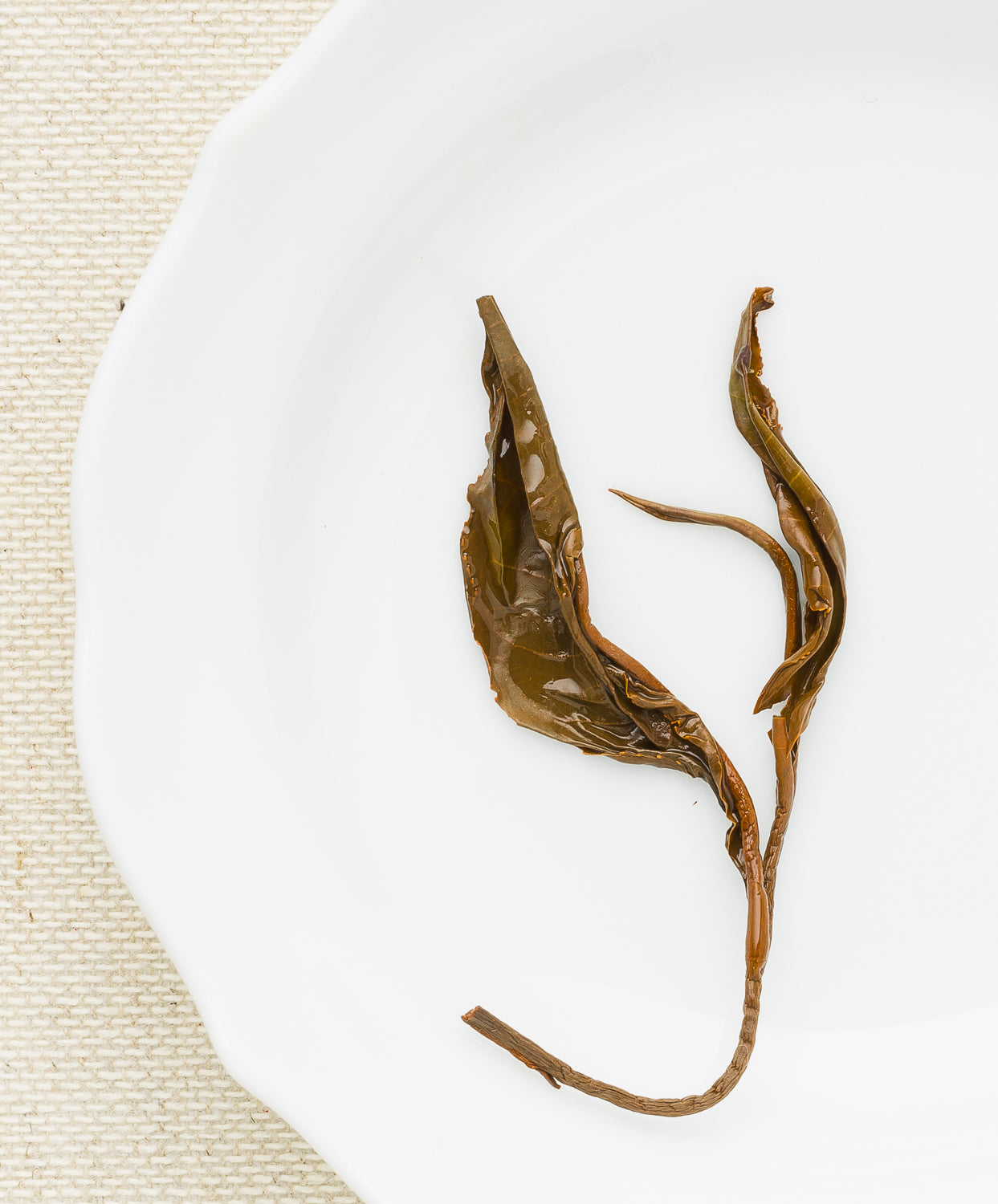 jade plant tea Organic Jade Rouge Black Tea 2 oz
