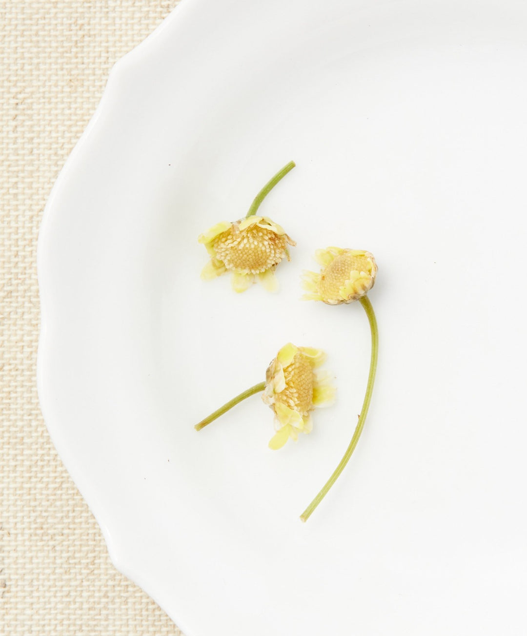 what is chrysanthemum tea