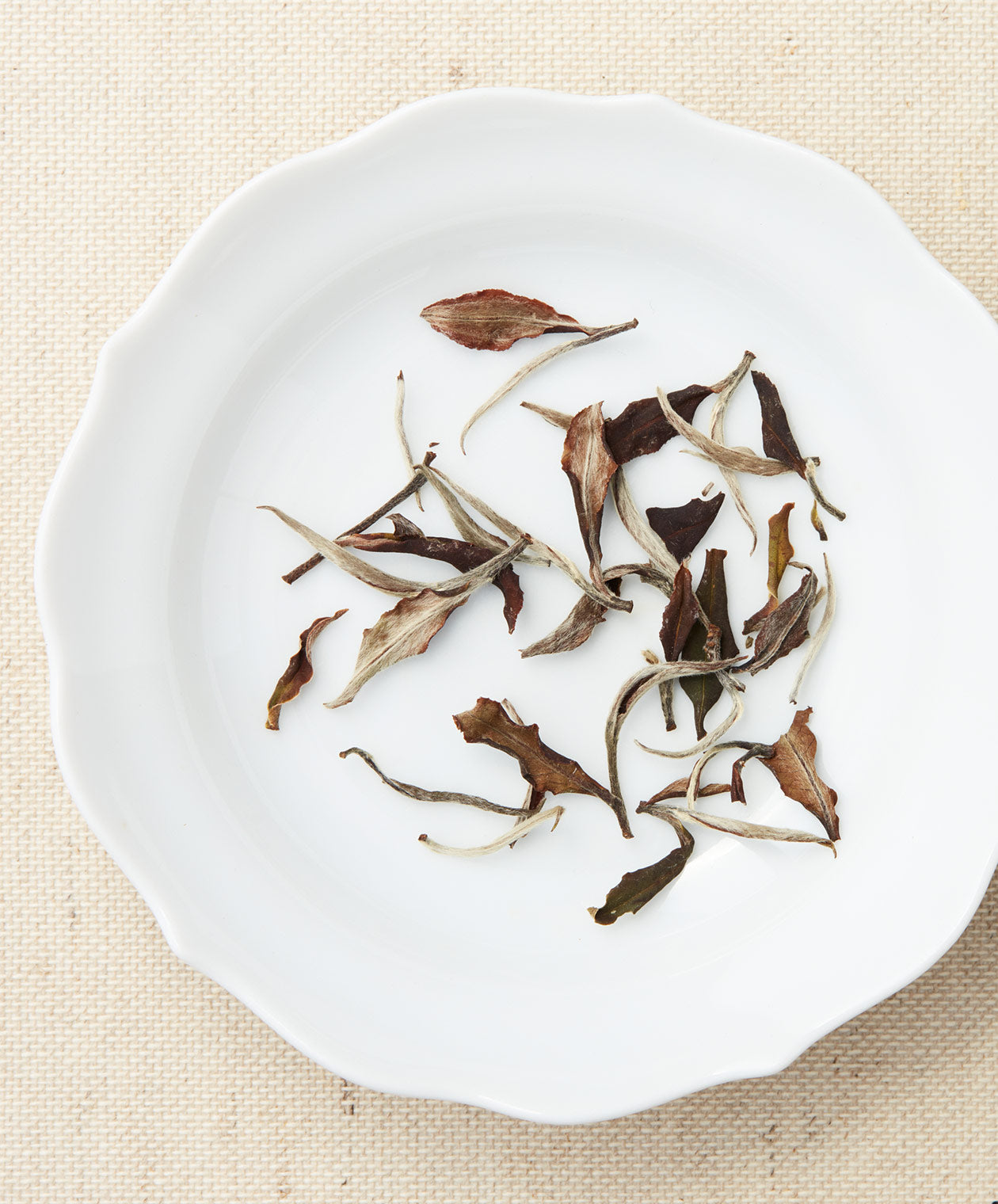 Dry White Peony tea leaves scattered on a white plate.