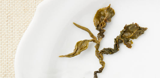 leaf of oolong tea