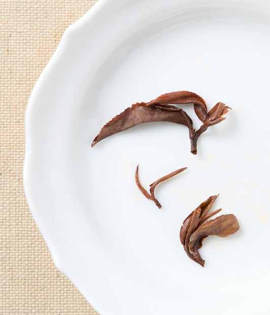Bloomed oriental beauty tea leaves on a white plate