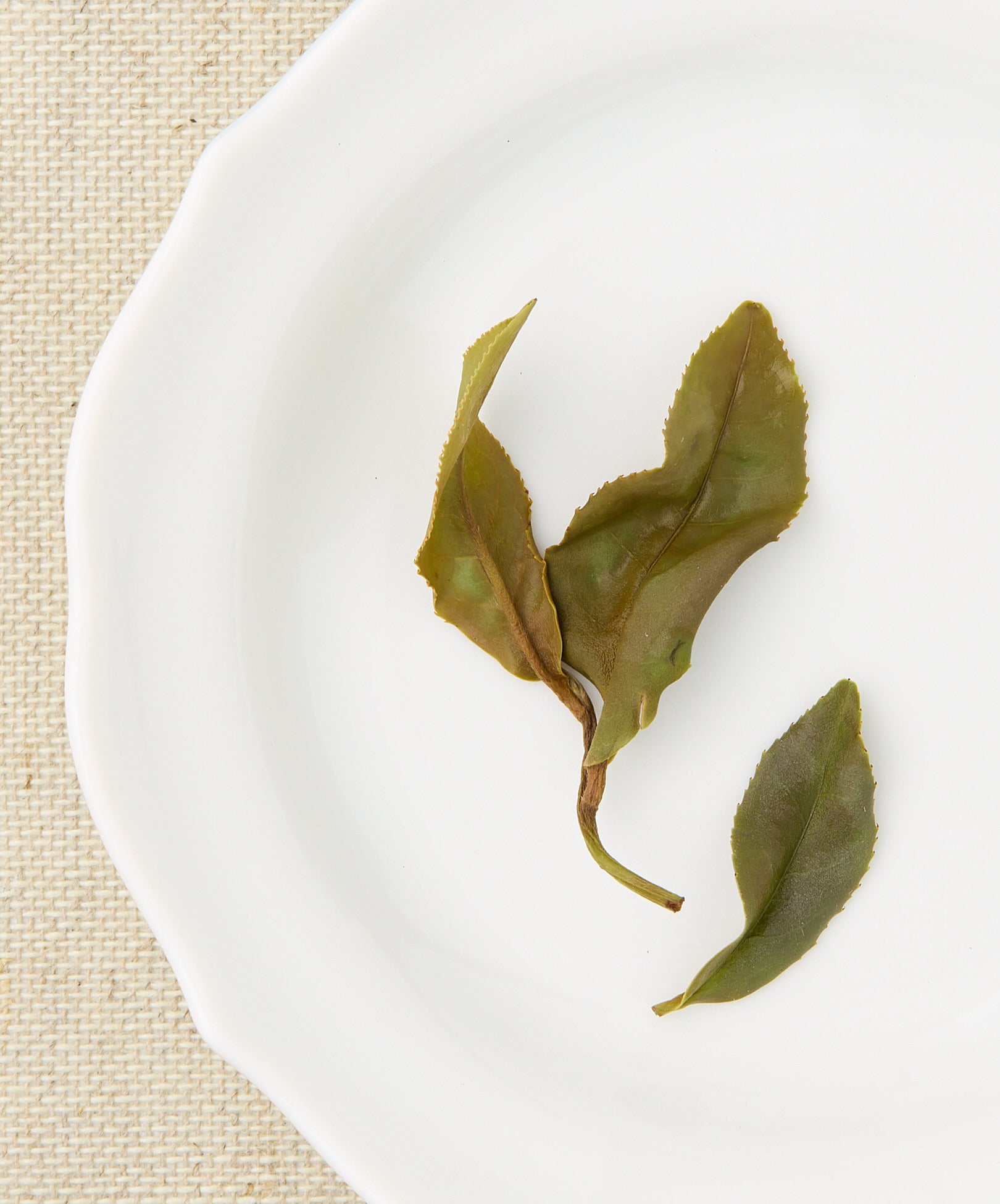 assam white wet tea leaves