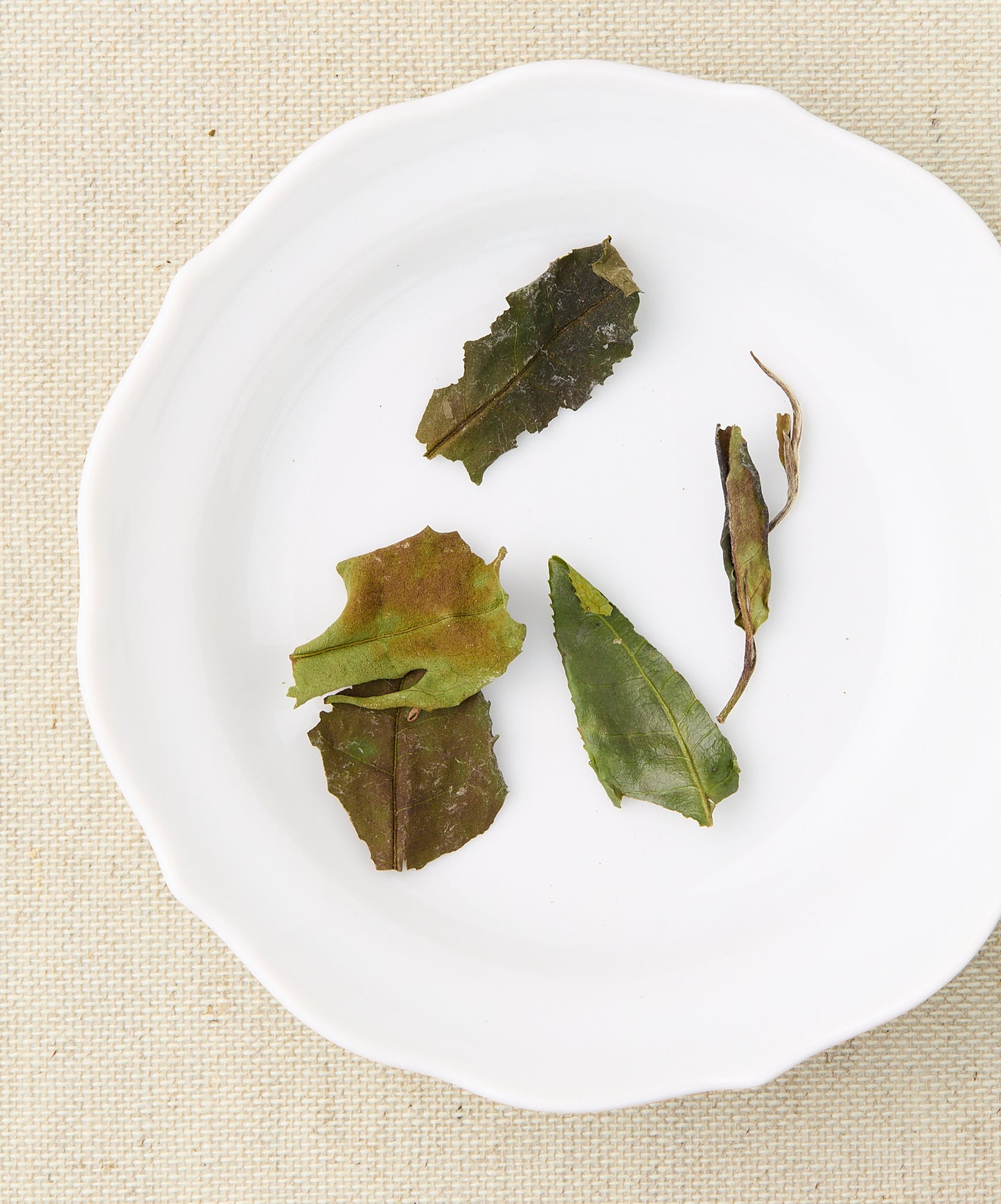 assam white wet tea leaves