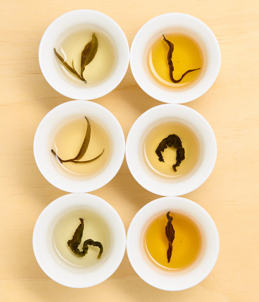 Six small white cups arranged in a 2x3 grid on a light wood surface, each filled with tea and showing different curled tea leaf shapes and water colors.