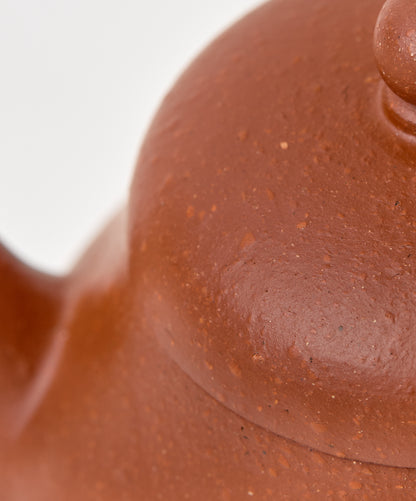 Close-up of the surface texture on the Poet Vintage Yixing teapot.