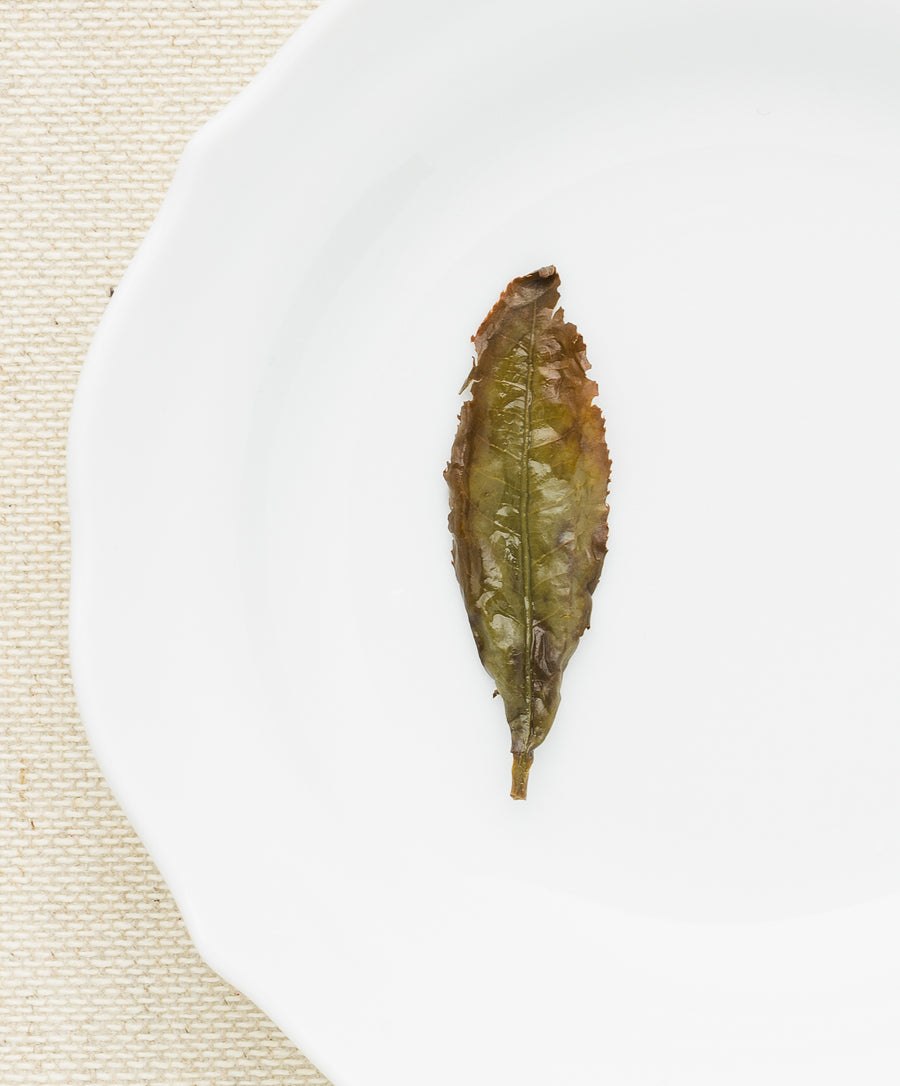 Organic GABA tea leaf