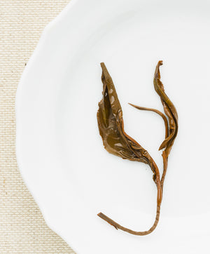 organic jade tea leaf