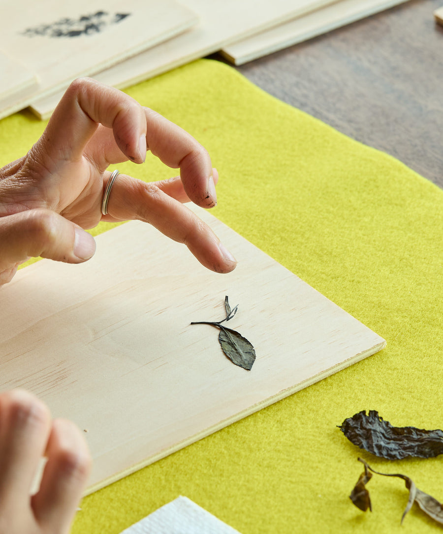 Hand placing tea leaf on wooden board