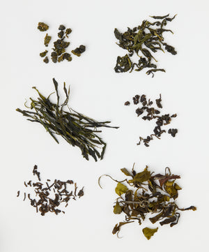 Various loose tea leaves on white background