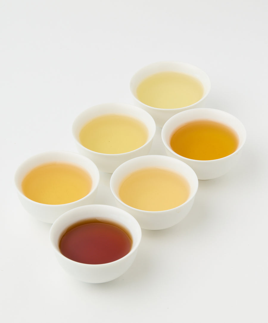 Different shades of brewed tea in white cups