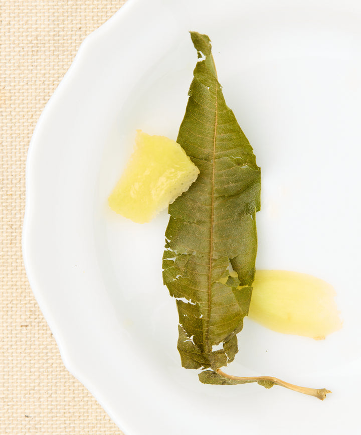 Sorrento Lemon Verbena