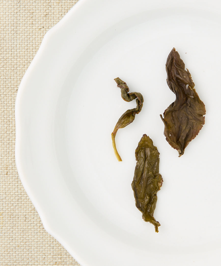 wuyi roast wet tea leaves