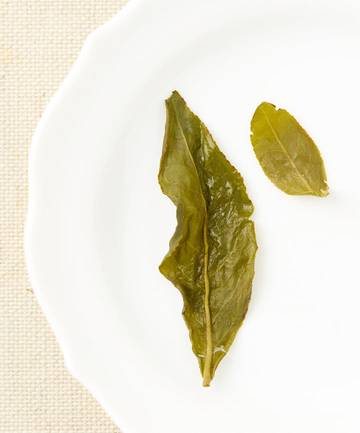 Two steeped tea leaves on a white plate with a beige background
