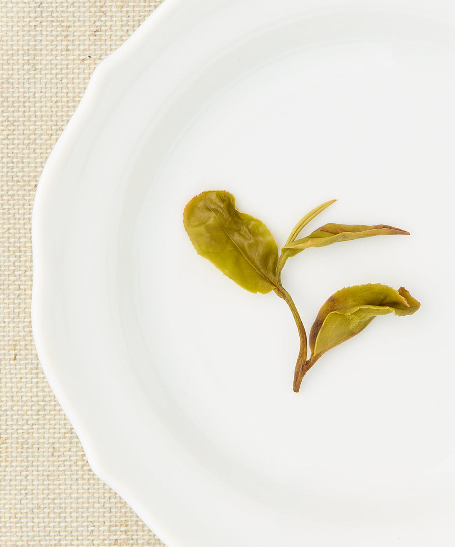 sanxia yellow wet tea leaves