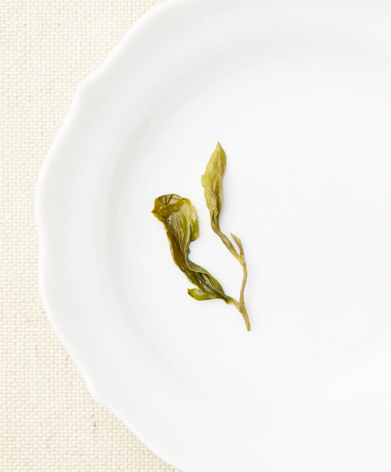 green tea leaf