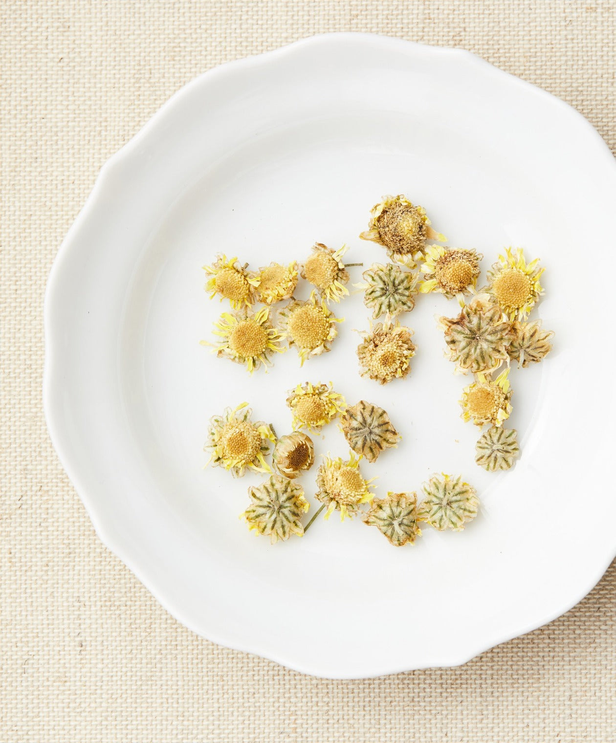 Chrysanthemum tea flowers