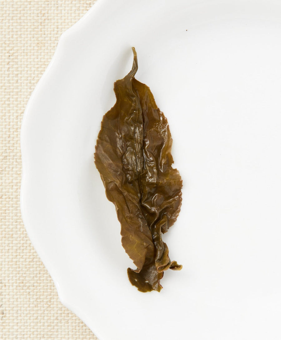alishan oolong tea open leaf