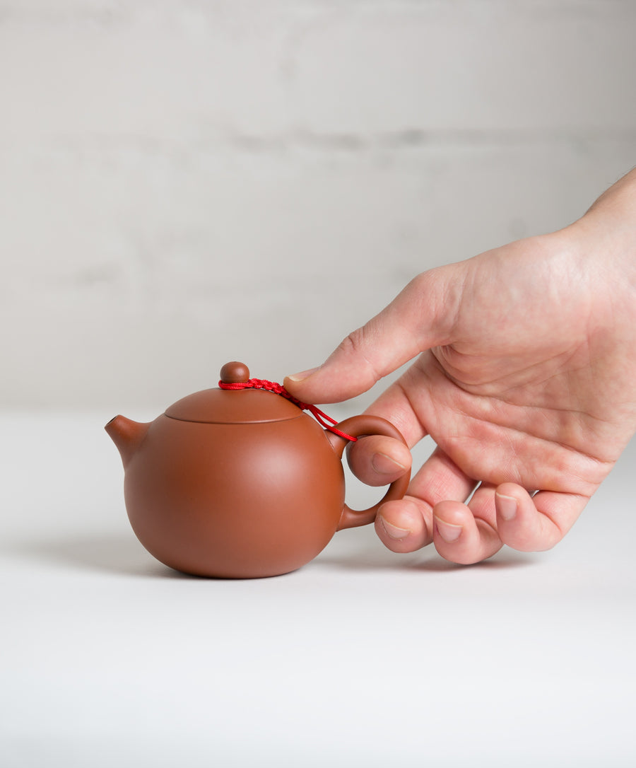 hand holding taiwanese tea pot