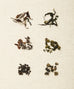 Formosa Tea Collection – Té Company